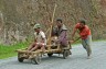 These vehicles (loaded with firewood) were overtaking us at breakneck speed downhill