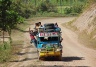 Jeepneys ...