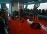 Diving in Koh Tao is a mass machinery