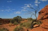 Outback beim Kings Canyon