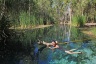 Hot Springs of Mataranka - very relaxing